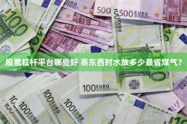 股票杠杆平台哪些好 蒸东西时水放多少最省煤气？