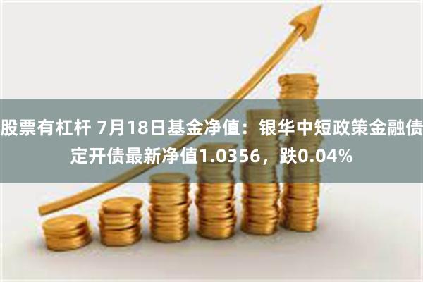 股票有杠杆 7月18日基金净值：银华中短政策金融债定开债最新净值1.0356，跌0.04%