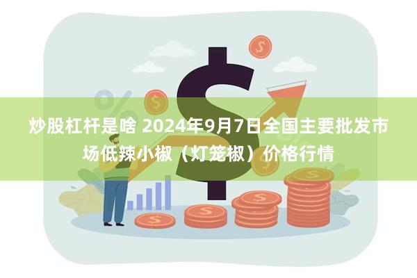 炒股杠杆是啥 2024年9月7日全国主要批发市场低辣小椒（灯笼椒）价格行情