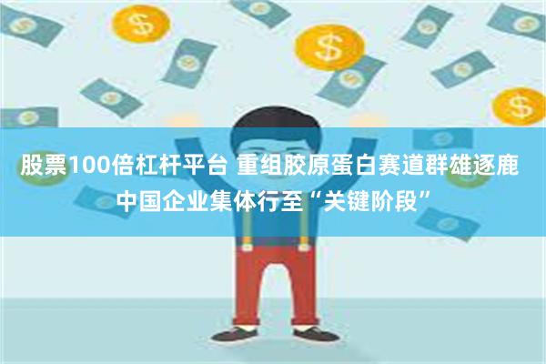 股票100倍杠杆平台 重组胶原蛋白赛道群雄逐鹿 中国企业集体行至“关键阶段”