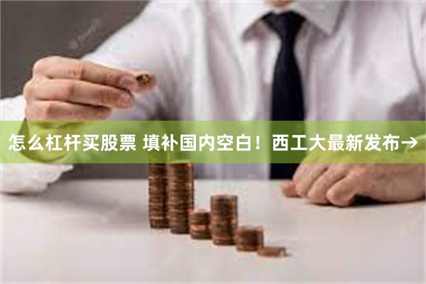 怎么杠杆买股票 填补国内空白！西工大最新发布→