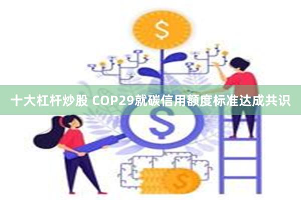 十大杠杆炒股 COP29就碳信用额度标准达成共识