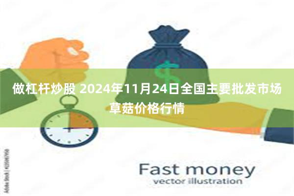 做杠杆炒股 2024年11月24日全国主要批发市场草菇价格行情