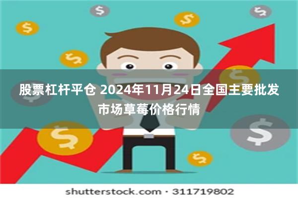 股票杠杆平仓 2024年11月24日全国主要批发市场草莓价格行情