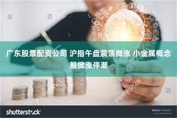 广东股票配资公司 沪指午盘震荡微涨 小金属概念股掀涨停潮